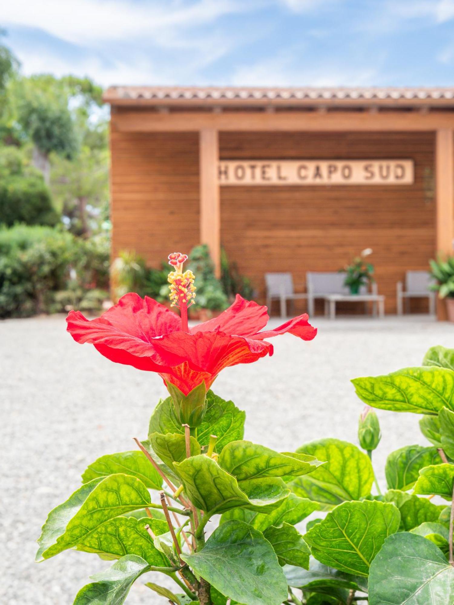 Hotel Capo Sud Lacona Extérieur photo