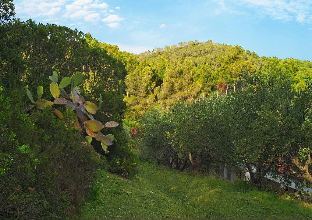 Hotel Capo Sud Lacona Extérieur photo