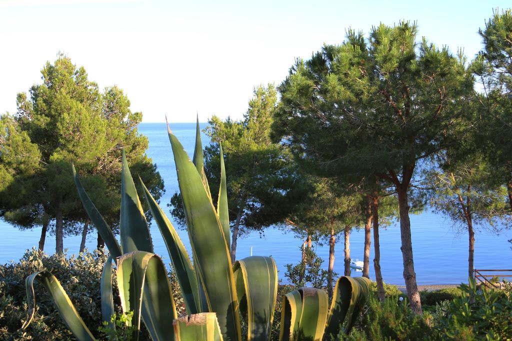 Hotel Capo Sud Lacona Extérieur photo